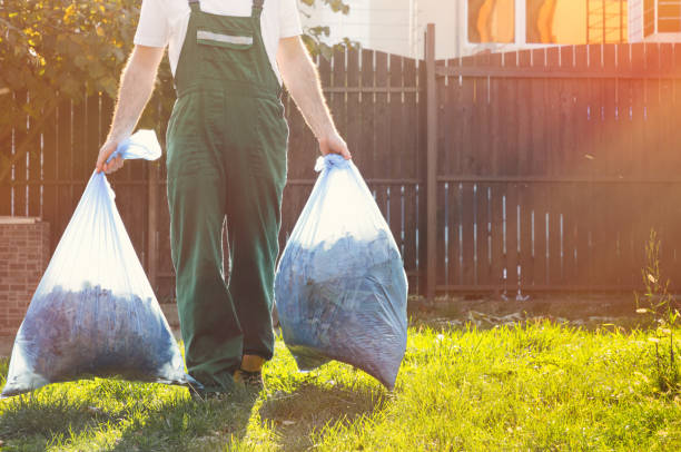 Professional Junk Removal in North Pearsall, TX